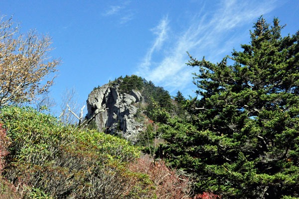 view from picnic area